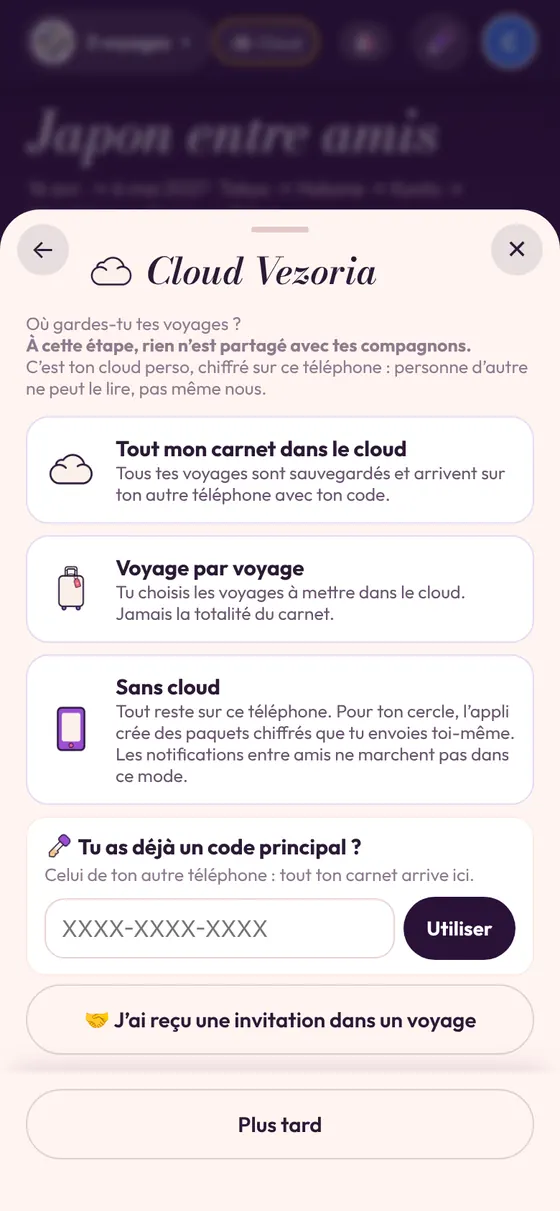 Le choix de sauvegarde : tout le carnet, voyage par voyage ou sans cloud